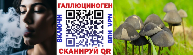 Псилоцибиновые грибы мухоморы  Камень-на-Оби 